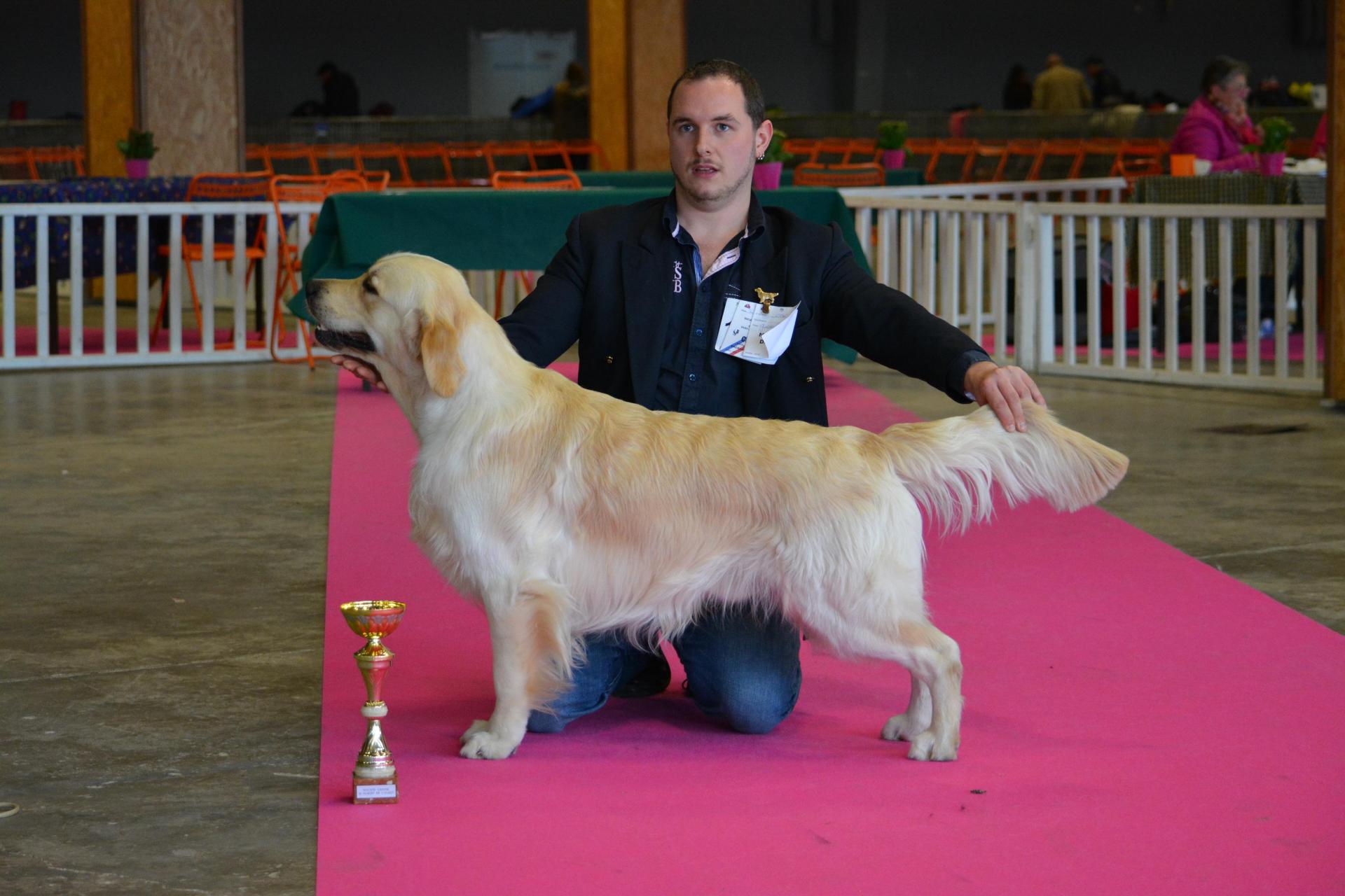 Chance (Idée de Génie): 2ème Exc classe Inter Male