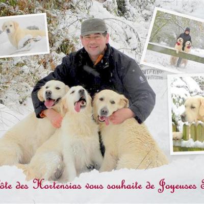 Neige