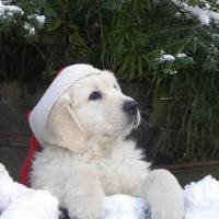 NEIGE 10