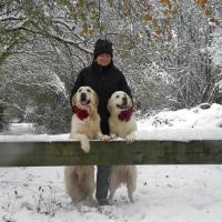 NEIGE 11