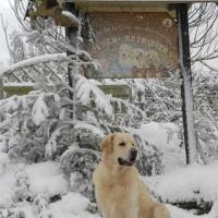 NEIGE 15
