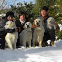 NEIGE 2