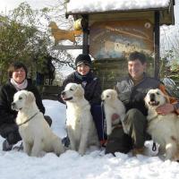 NEIGE 5
