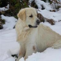 NEIGE 6