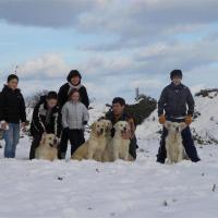 NEIGE 8