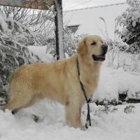 NEIGE 9